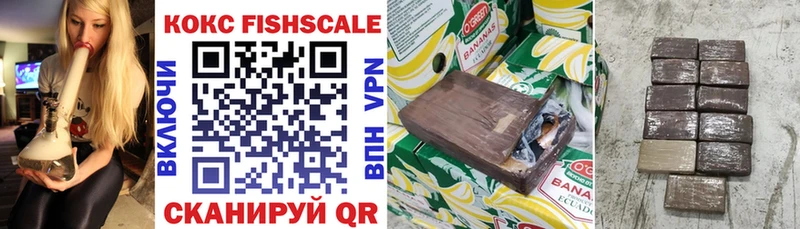 Cocaine FishScale  ОМГ ОМГ как войти  Гусиноозёрск  где купить наркотик 