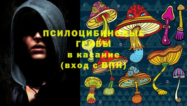 СК Аркадак