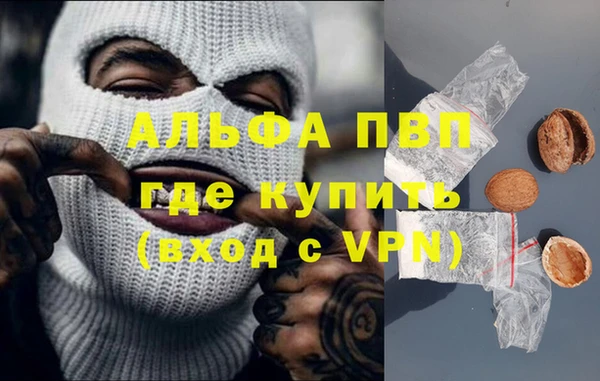 СК Аркадак