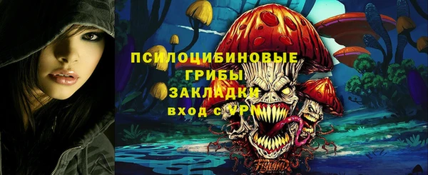 СК Аркадак
