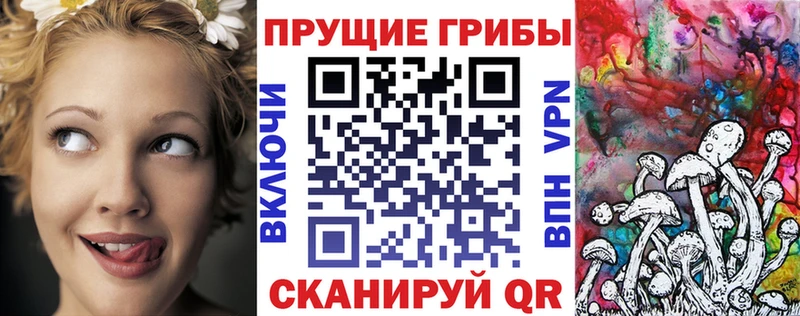купить наркотики цена  Гусиноозёрск  Галлюциногенные грибы Psilocybe 