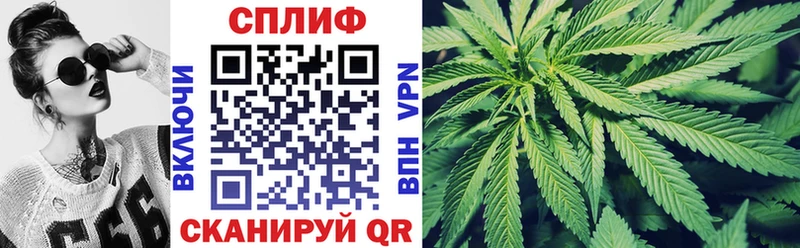 что такое   Гусиноозёрск  Бошки марихуана Amnesia 